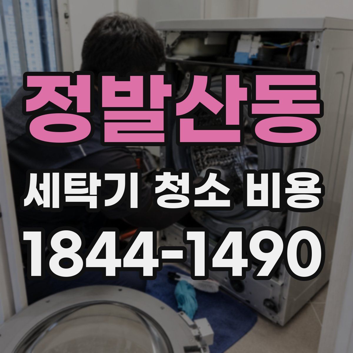 정발산동 세탁기 청소 비용