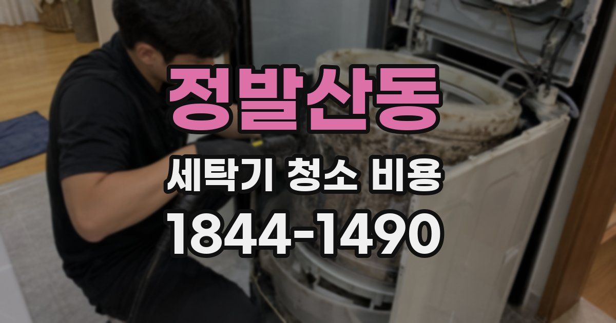 정발산동 세탁기 청소 비용