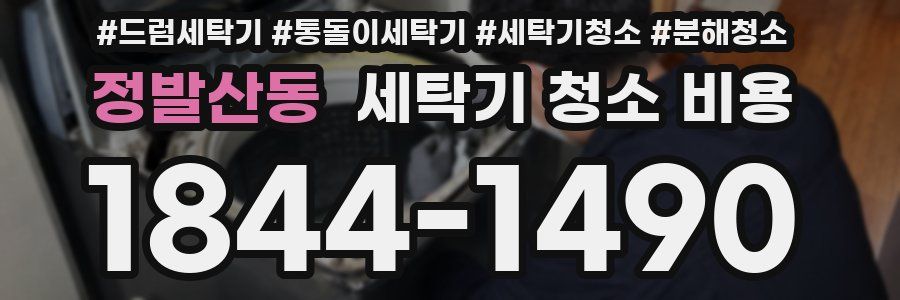 정발산동 세탁기 청소 비용