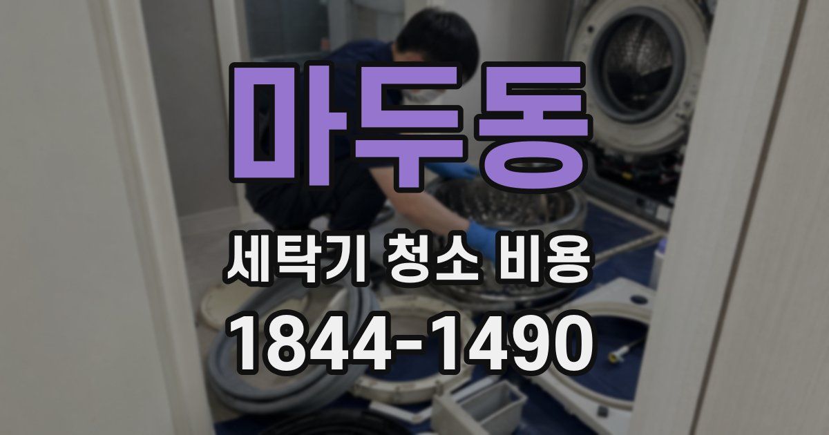 마두동 세탁기 청소 비용