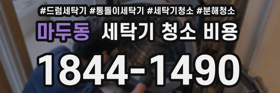 마두동 세탁기 청소 비용