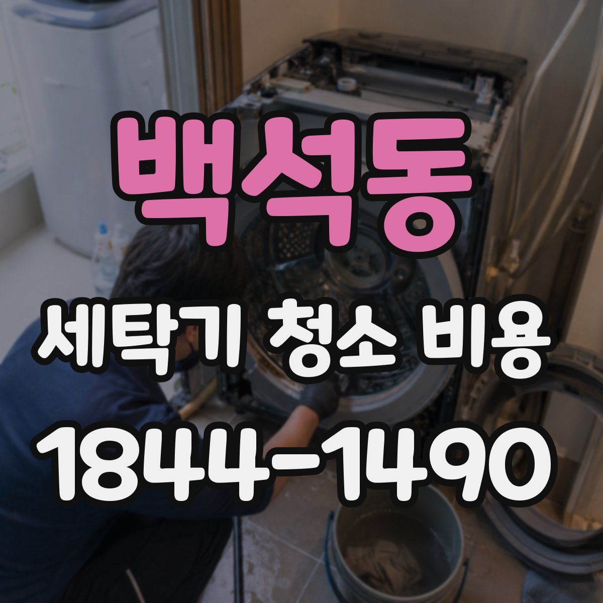 백석동 세탁기 청소 비용