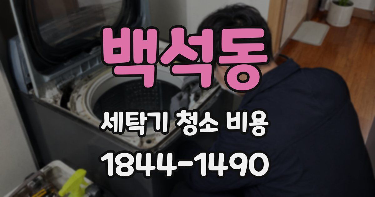 백석동 세탁기 청소 비용