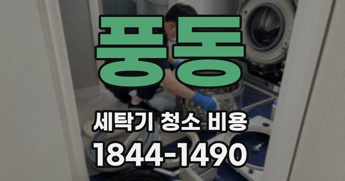 풍동 세탁기 청소 비용