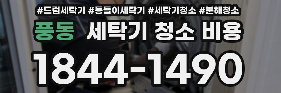 풍동 세탁기 청소 비용
