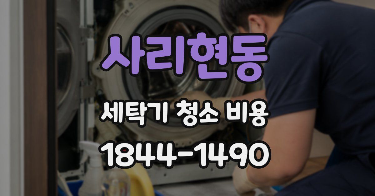 사리현동 세탁기 청소 비용
