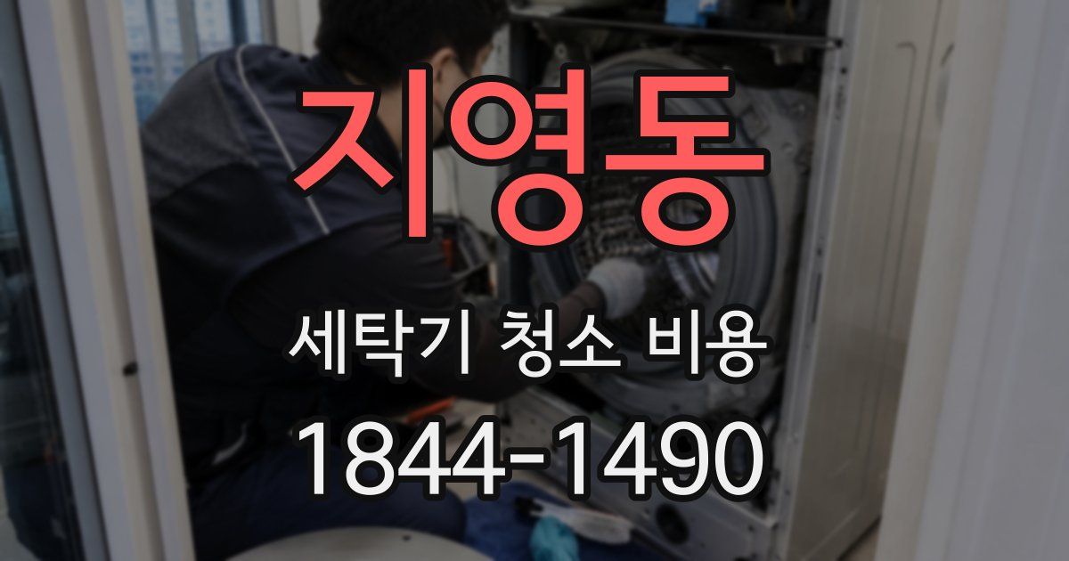 지영동 세탁기 청소 비용