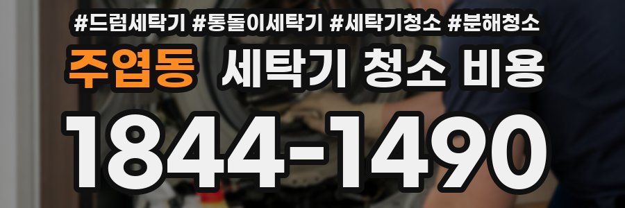 주엽동 세탁기 청소 비용