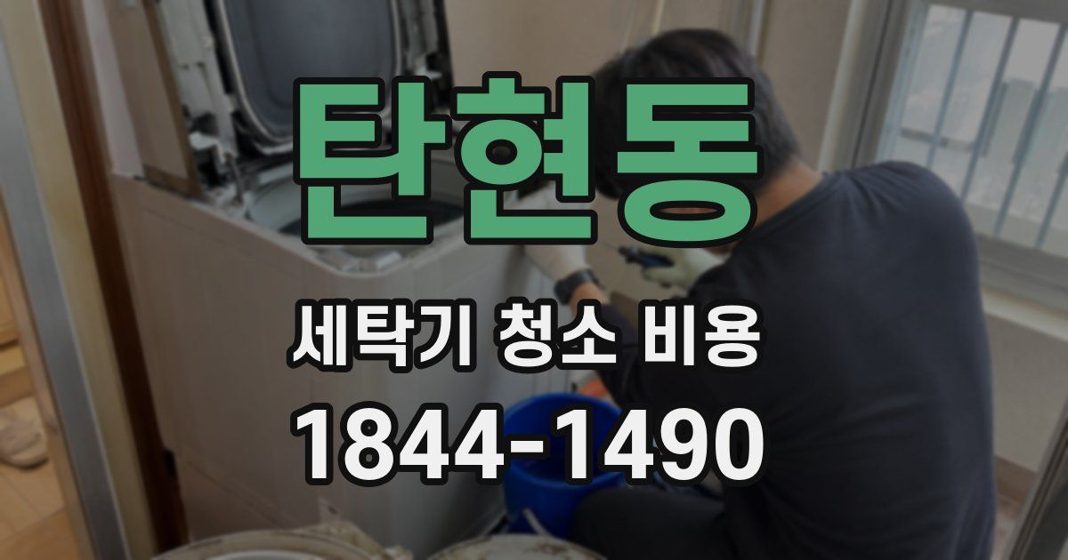 탄현동 세탁기 청소 비용