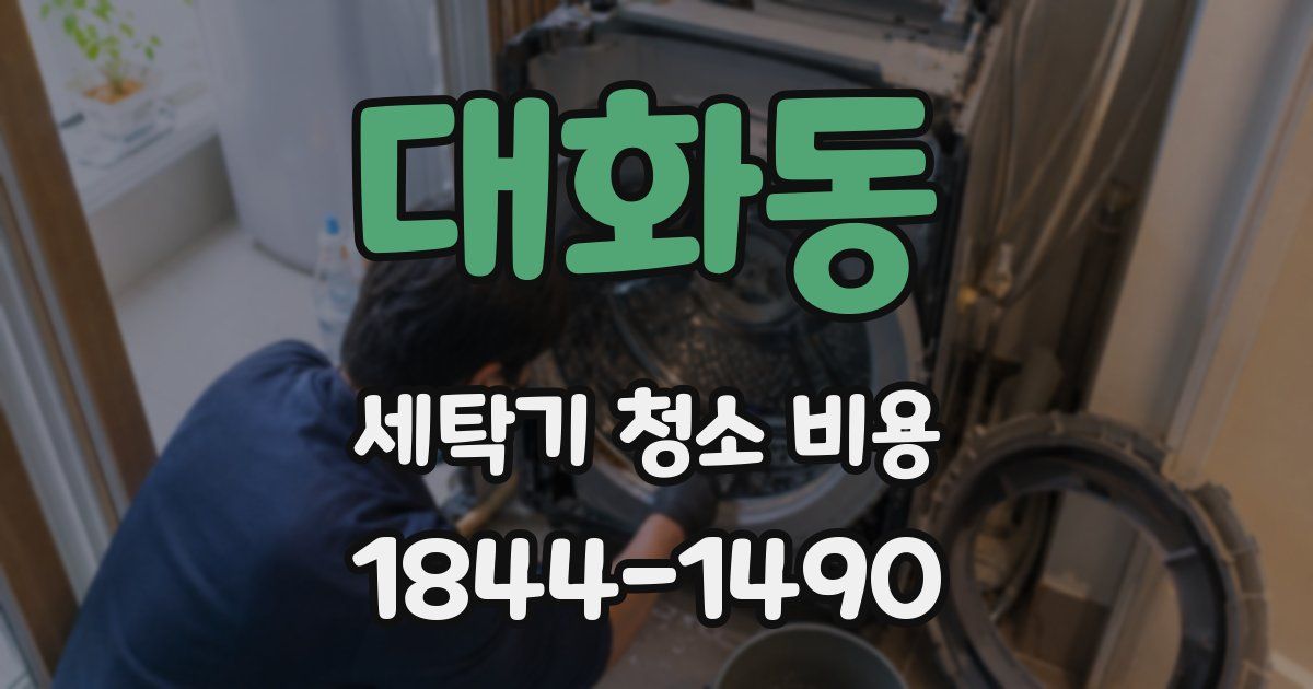 대화동 세탁기 청소 비용