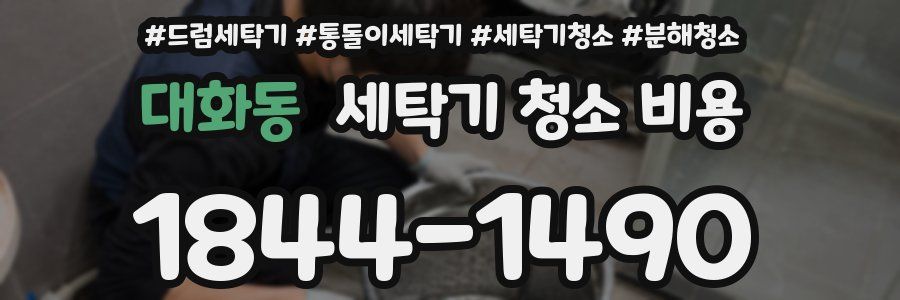 대화동 세탁기 청소 비용