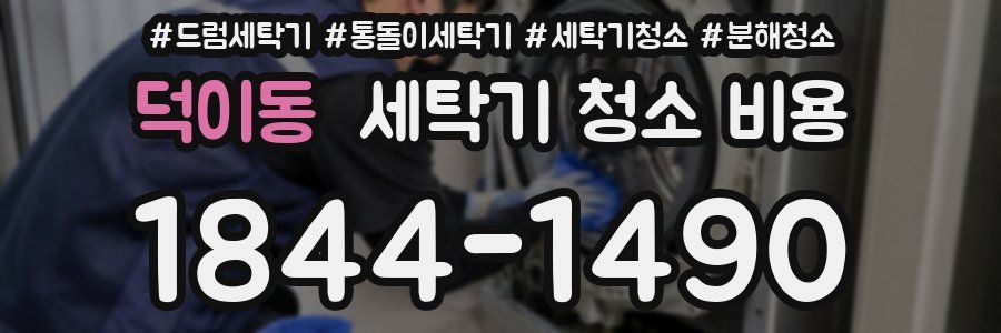 덕이동 세탁기 청소 비용