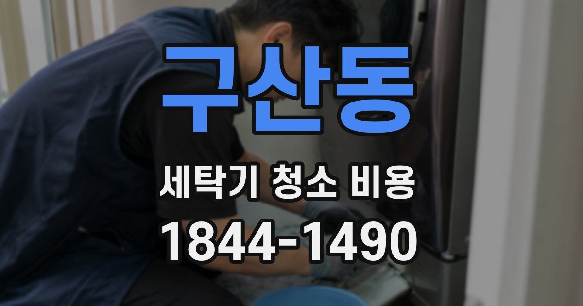 구산동 세탁기 청소 비용