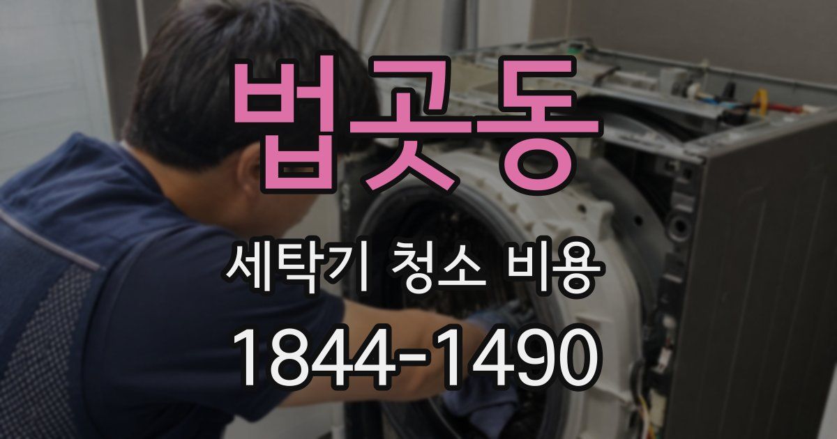 법곳동 세탁기 청소 비용