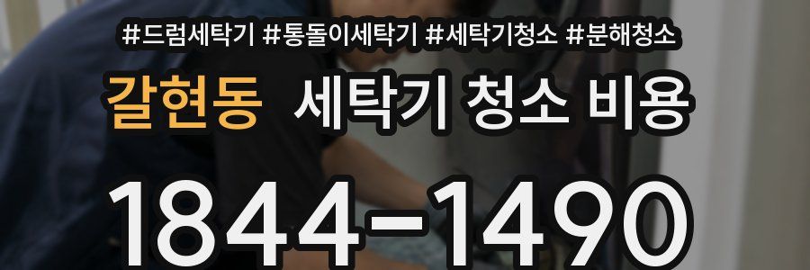 갈현동 세탁기 청소 비용