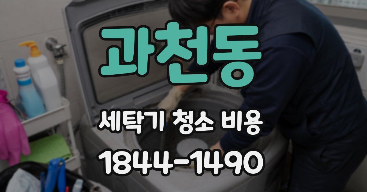 과천동 세탁기 청소 비용