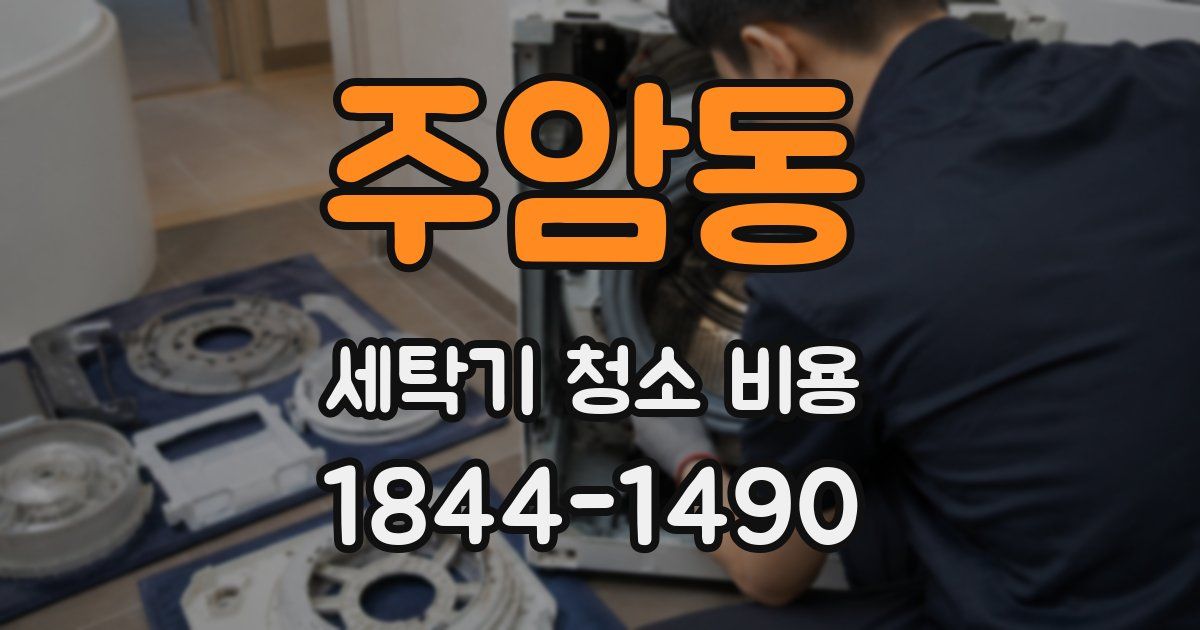 주암동 세탁기 청소 비용