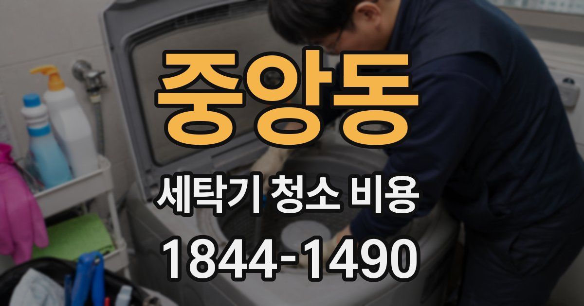 중앙동 세탁기 청소 비용