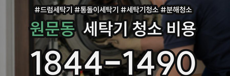 원문동 세탁기 청소 비용