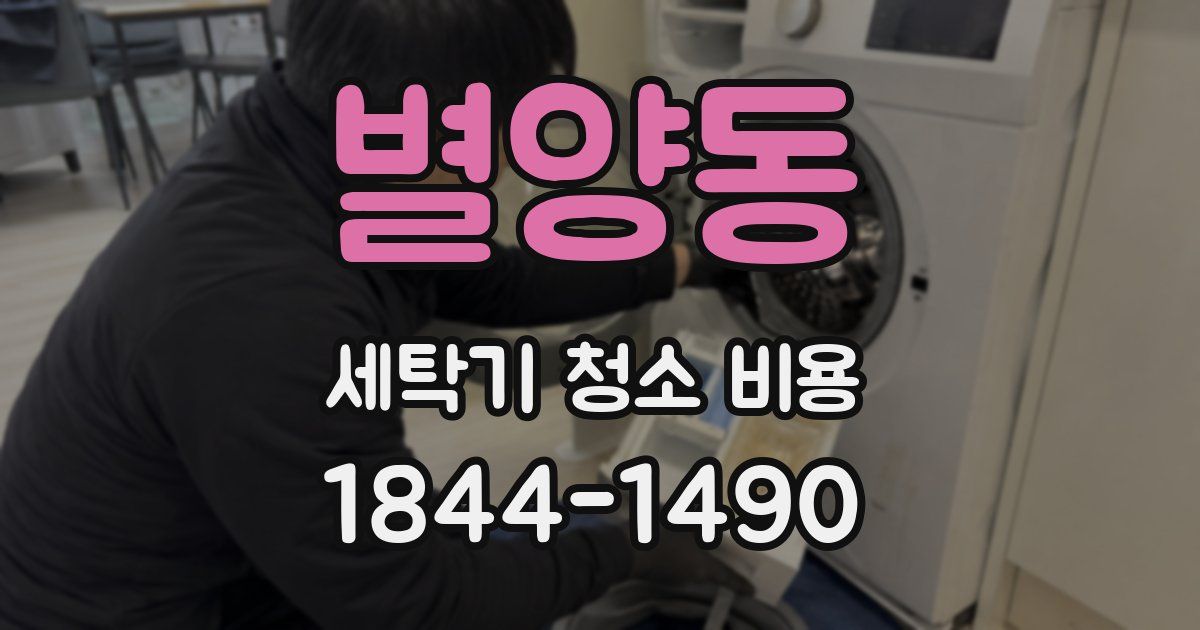 별양동 세탁기 청소 비용