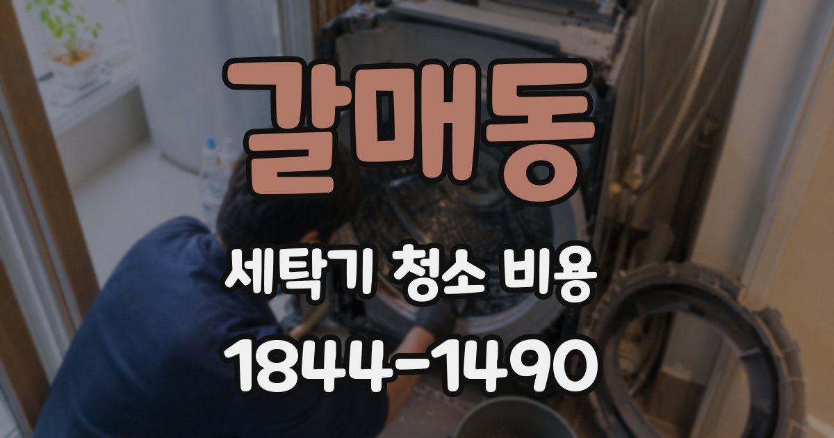 갈매동 세탁기 청소 비용