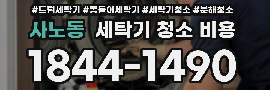 사노동 세탁기 청소 비용