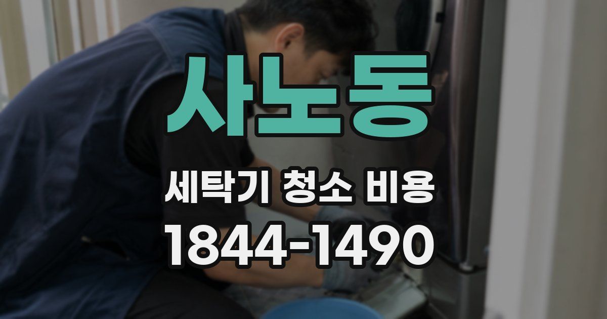 사노동 세탁기 청소 비용