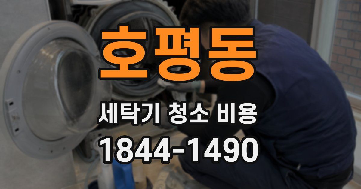 호평동 세탁기 청소 비용