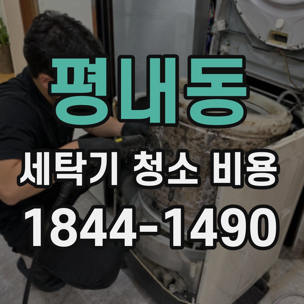 평내동 세탁기 청소 비용