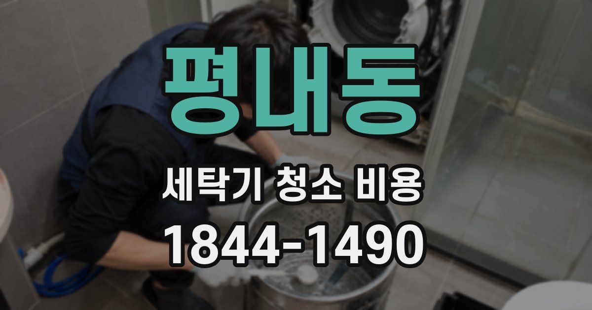 평내동 세탁기 청소 비용