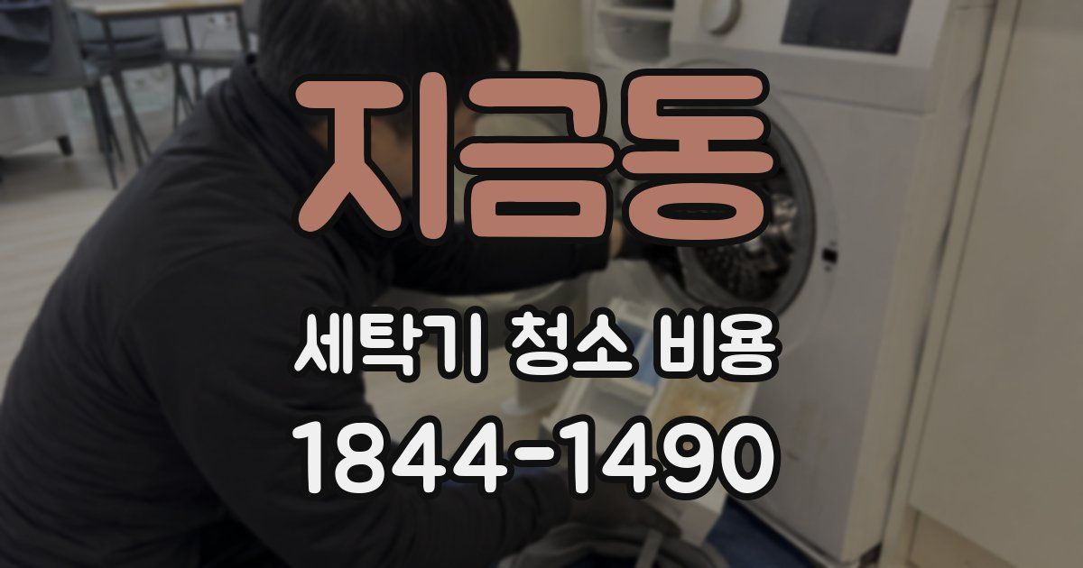 지금동 세탁기 청소 비용