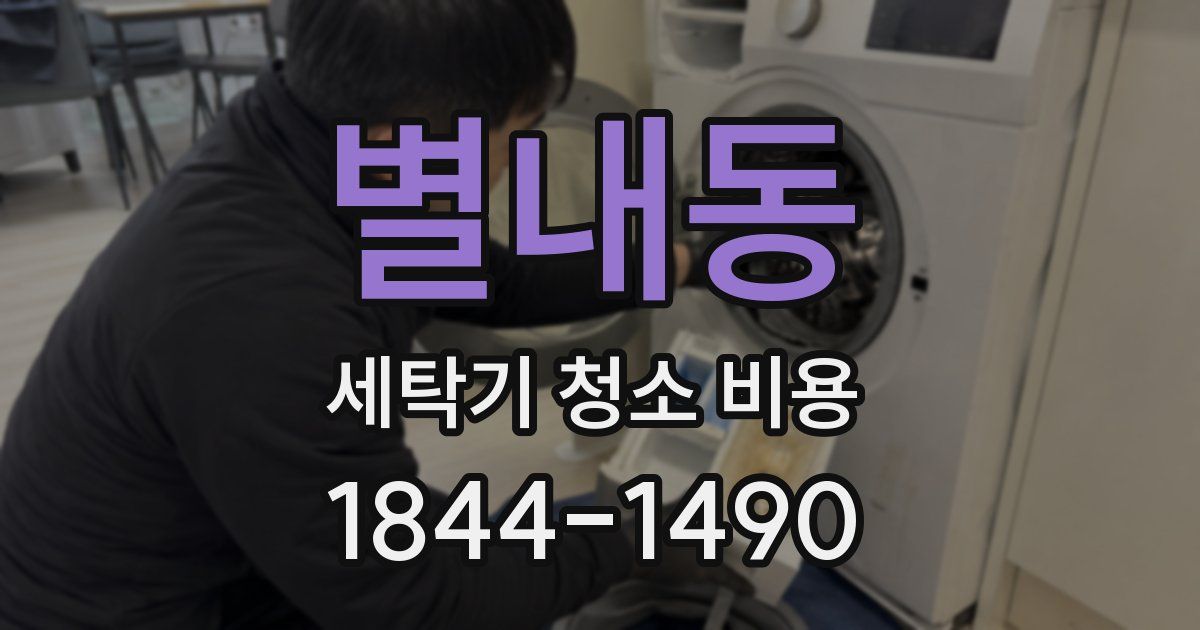 별내동 세탁기 청소 비용