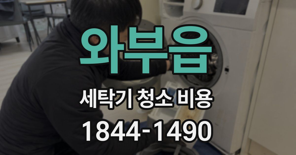 와부읍 세탁기 청소 비용