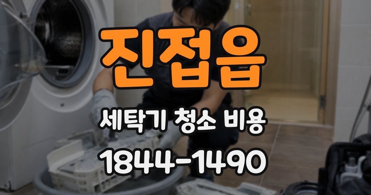 진접읍 세탁기 청소 비용