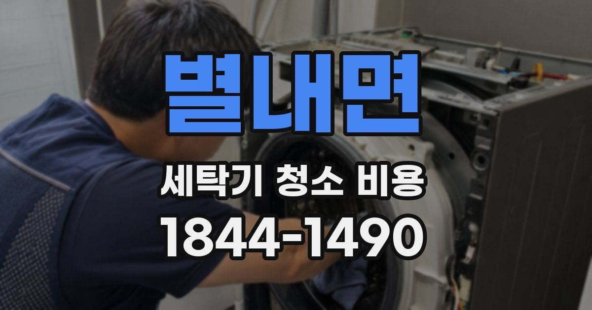 별내면 세탁기 청소 비용