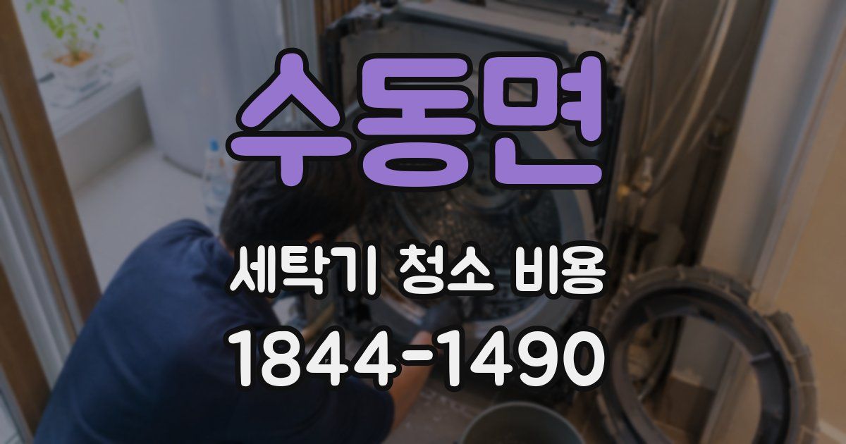 수동면 세탁기 청소 비용