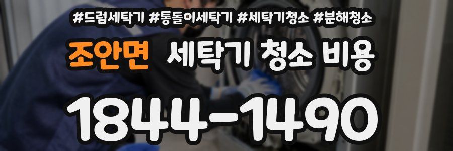 조안면 세탁기 청소 비용