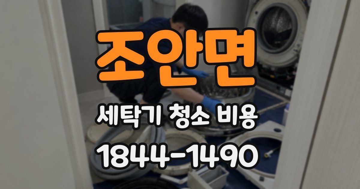 조안면 세탁기 청소 비용