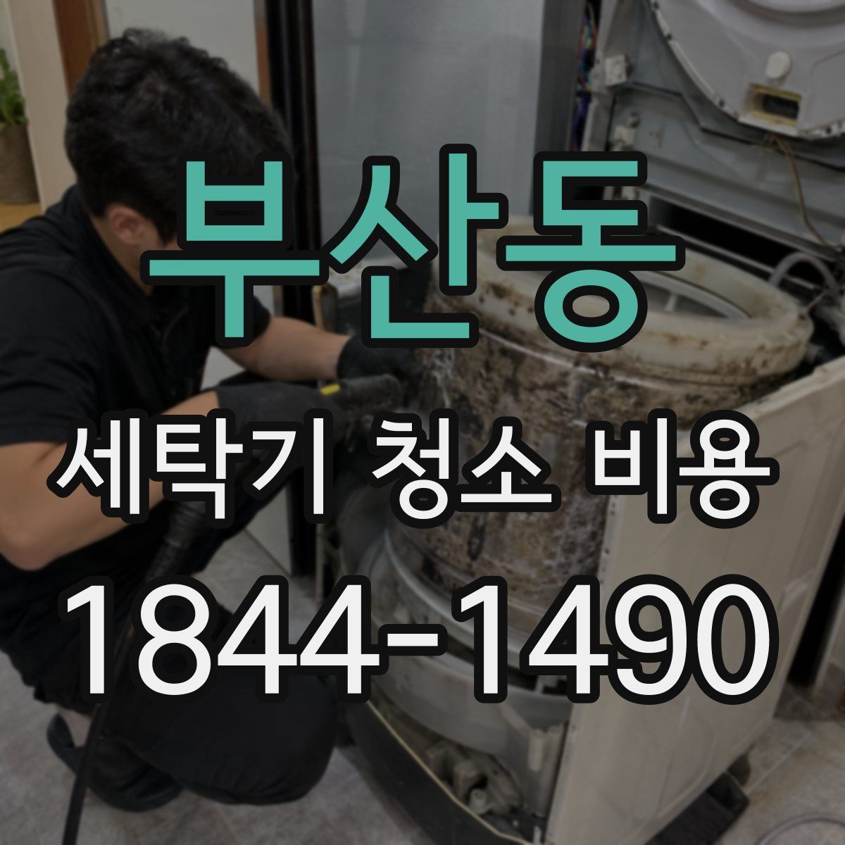 부산동 세탁기 청소 비용