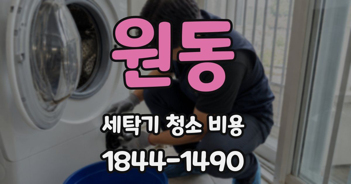 원동 세탁기 청소 비용