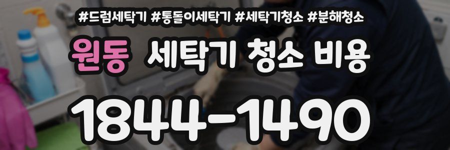 원동 세탁기 청소 비용