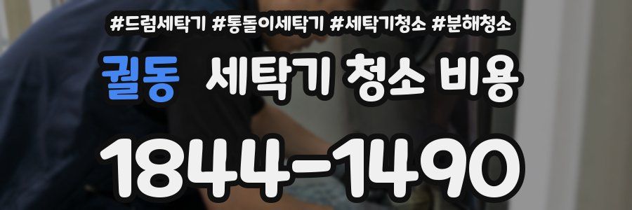 궐동 세탁기 청소 비용