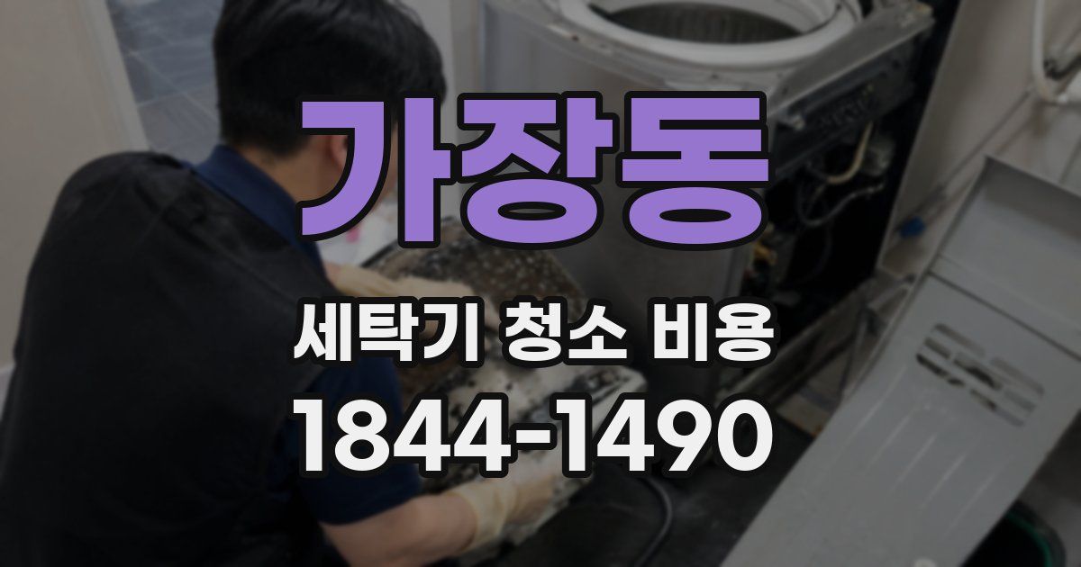 가장동 세탁기 청소 비용