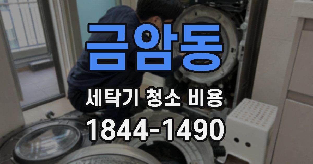 금암동 세탁기 청소 비용