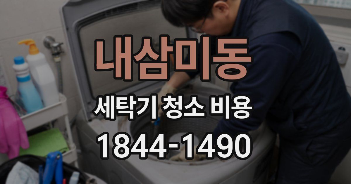 내삼미동 세탁기 청소 비용
