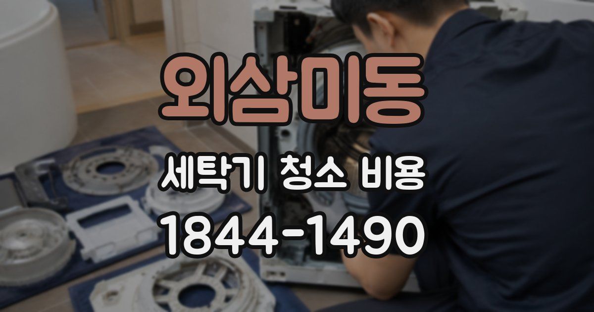 외삼미동 세탁기 청소 비용