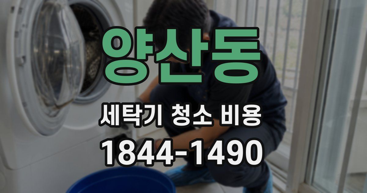 양산동 세탁기 청소 비용