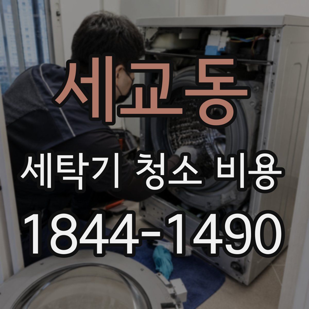 세교동 세탁기 청소 비용