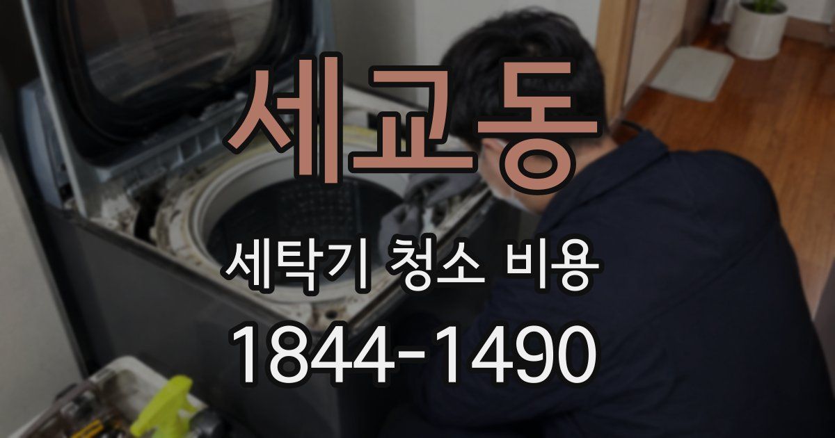 세교동 세탁기 청소 비용