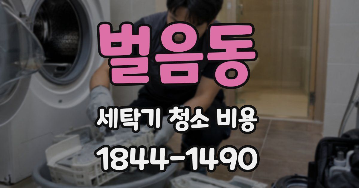 벌음동 세탁기 청소 비용
